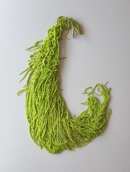 Hanging Amaranthus - Neon Green