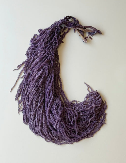 Hanging Amaranthus - Purple
