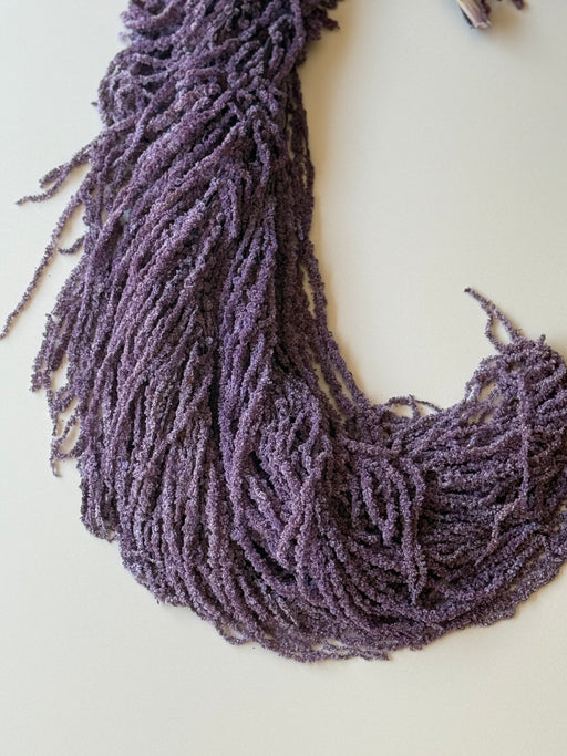 Hanging Amaranthus - Purple - alternate