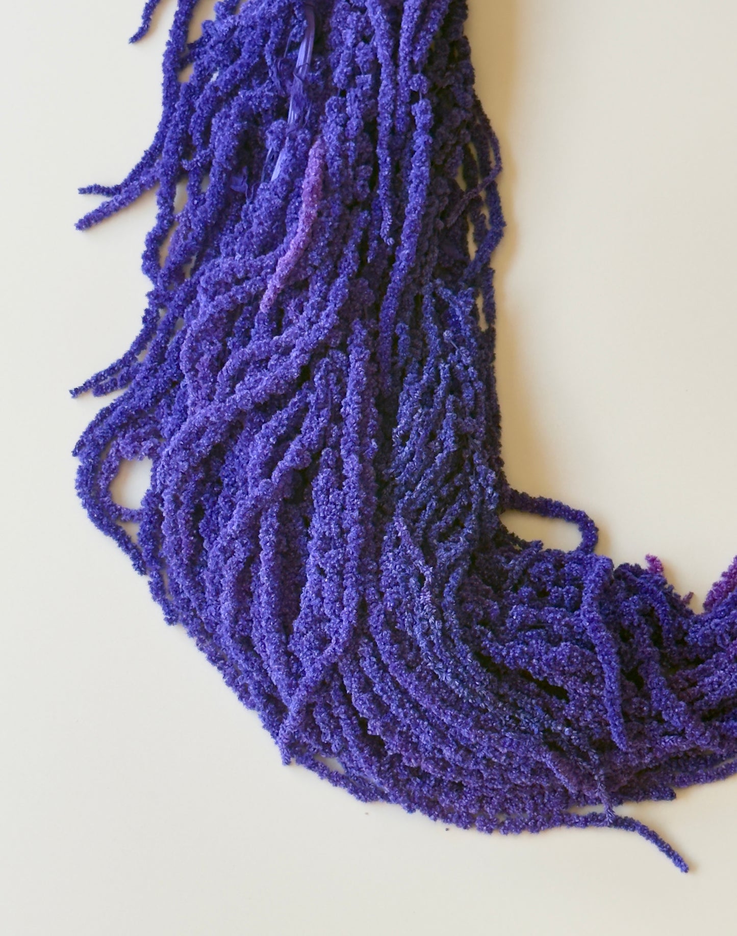 Hanging Amaranthus - Purple Tanzanite