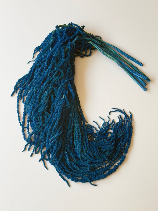 Hanging Amaranthus - Blue - alternate