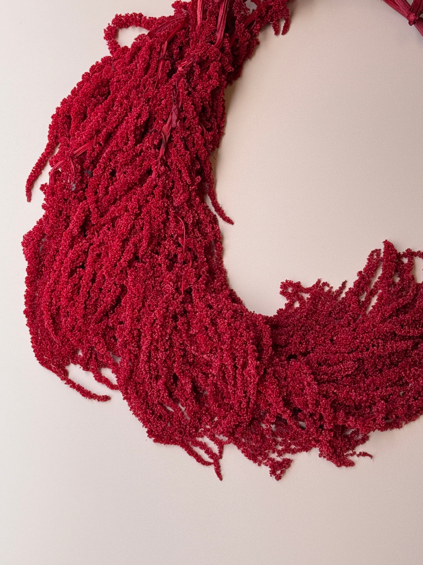 Hanging Amaranthus - Red