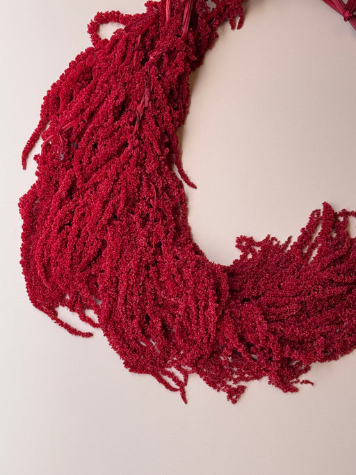Hanging Amaranthus - Red - alternate