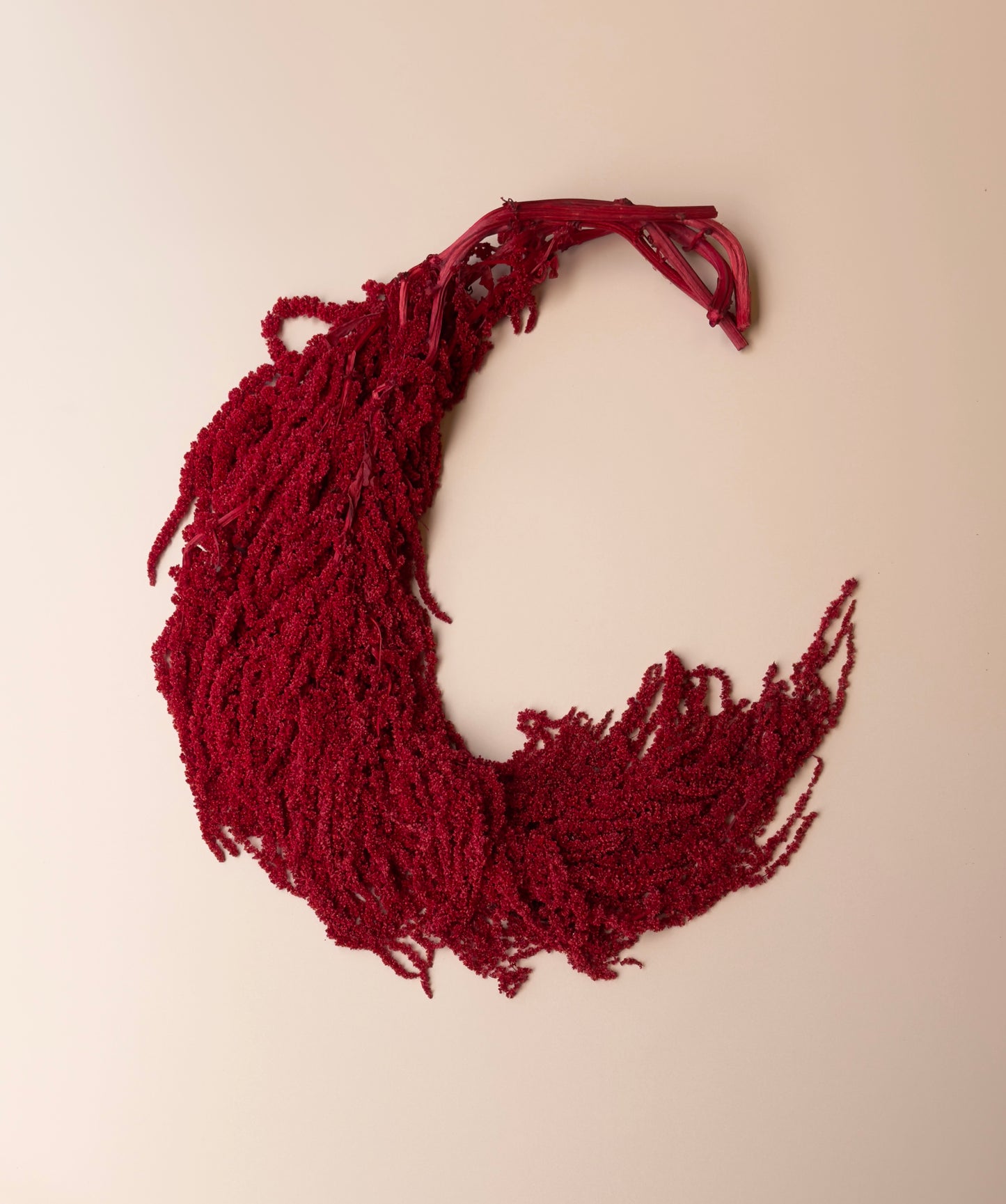 Hanging Amaranthus - Red