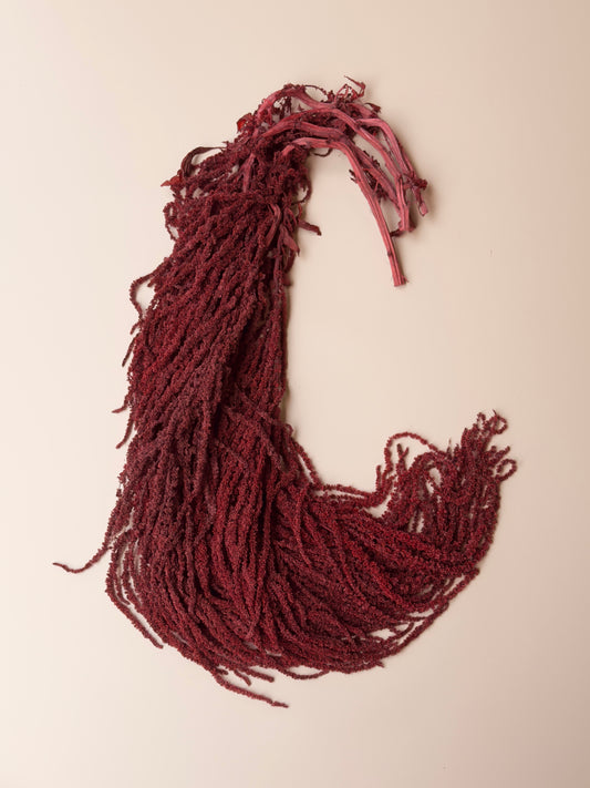 Hanging Amaranthus - Deep Red