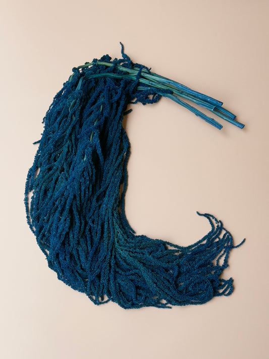 Hanging Amaranthus - Blue