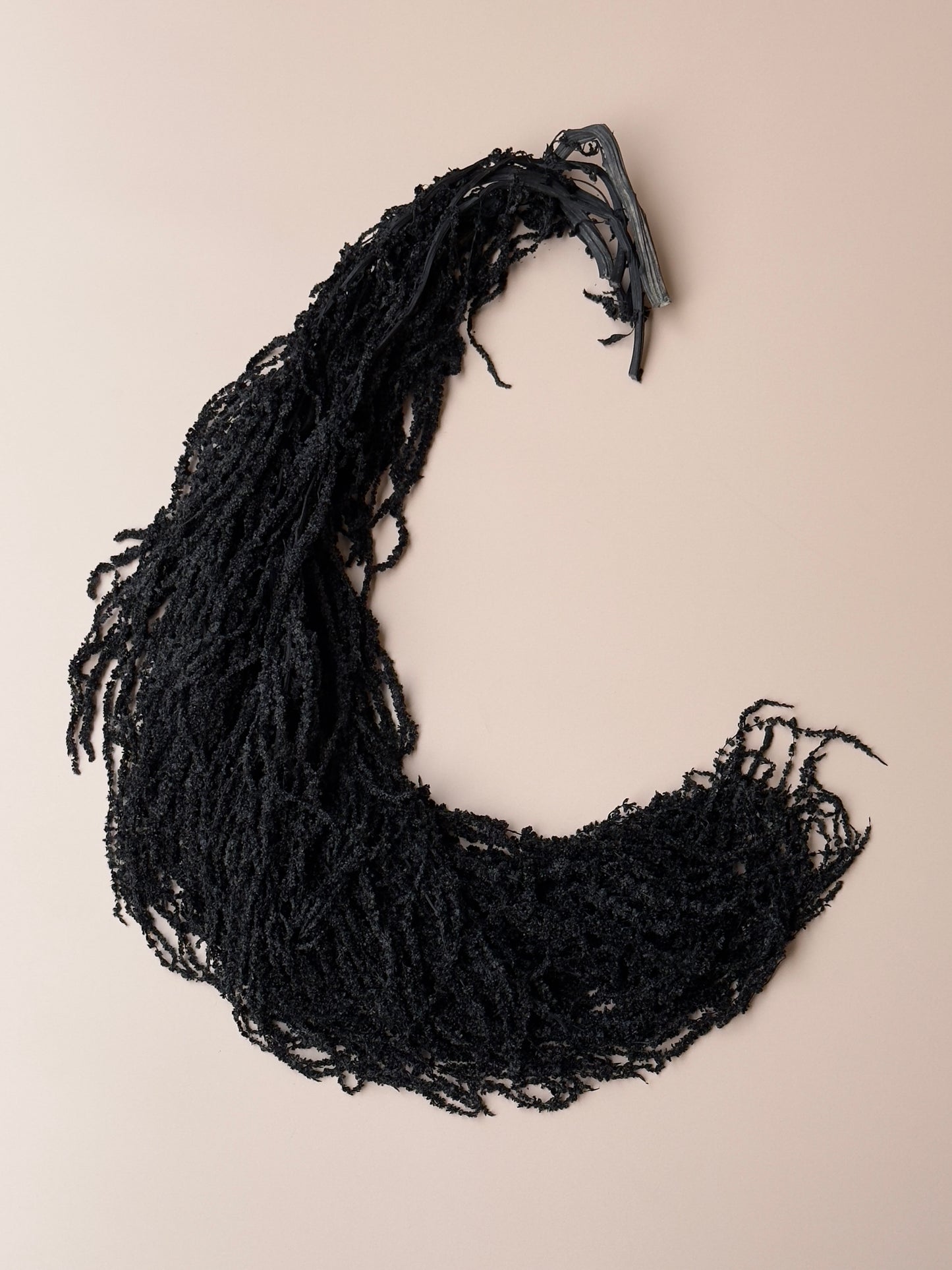 Hanging Amaranthus - Black