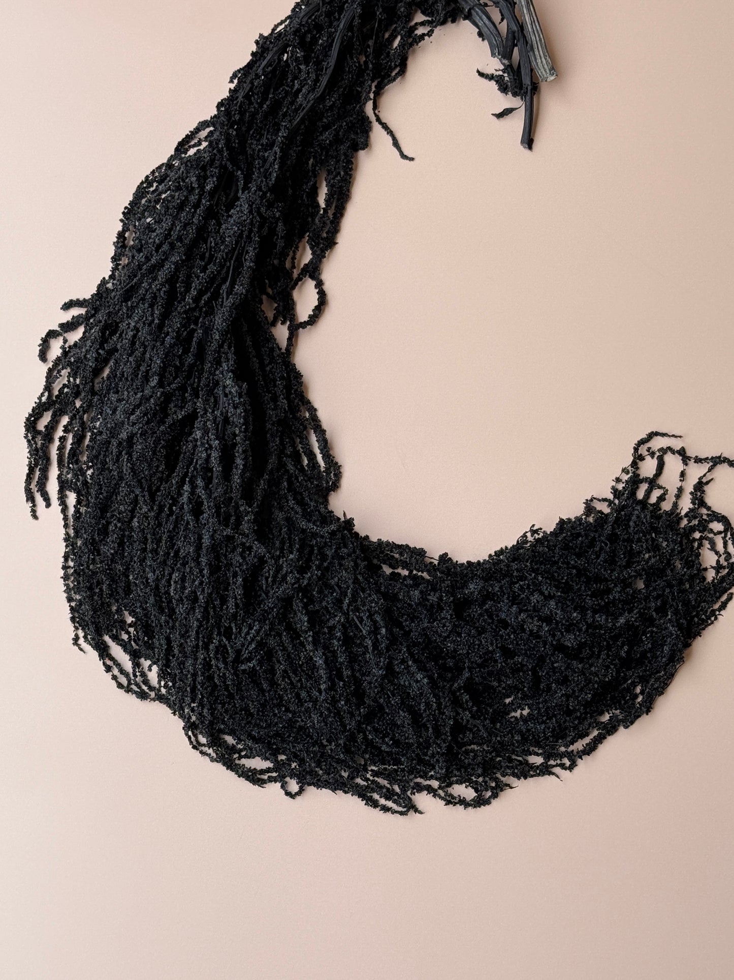 Hanging Amaranthus - Black