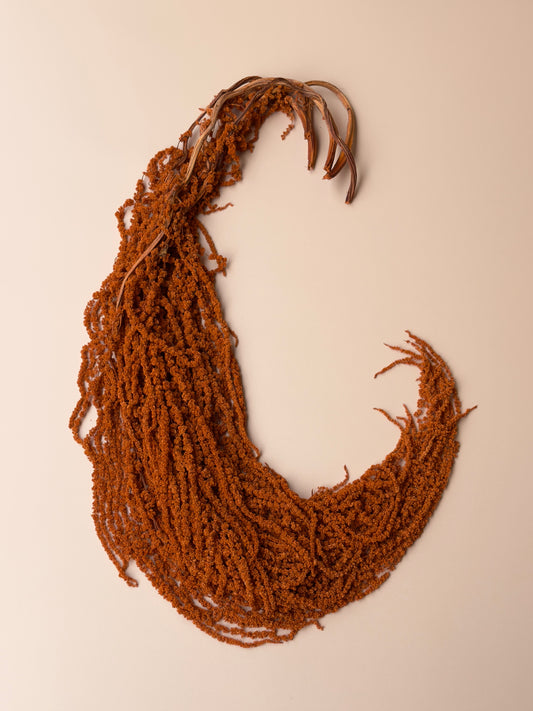 Hanging Amaranthus - Burnt Orange