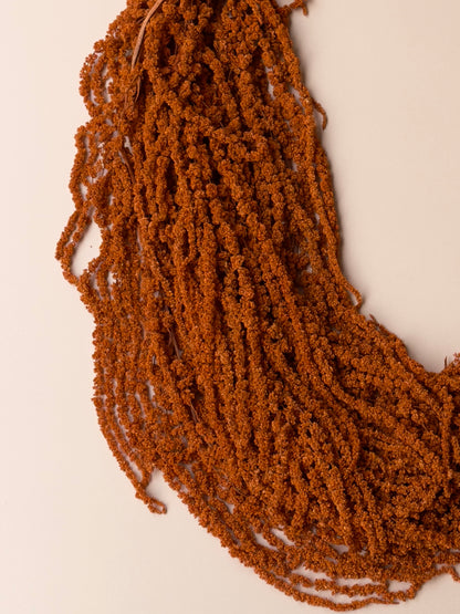 Hanging Amaranthus - Burnt Orange