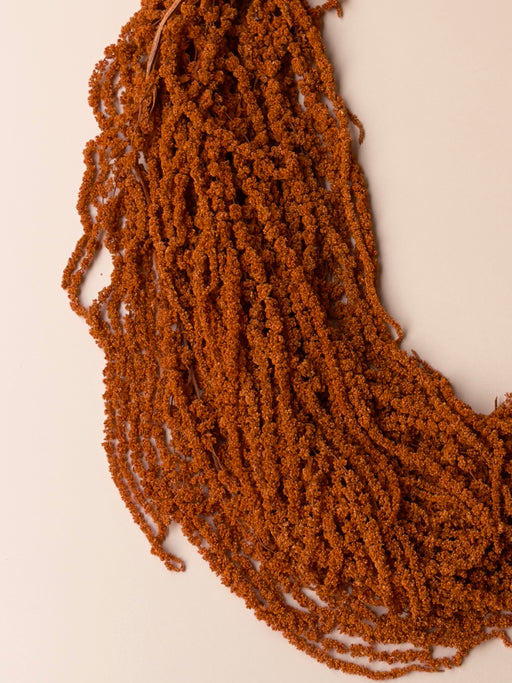 Hanging Amaranthus - Burnt Orange - alternate