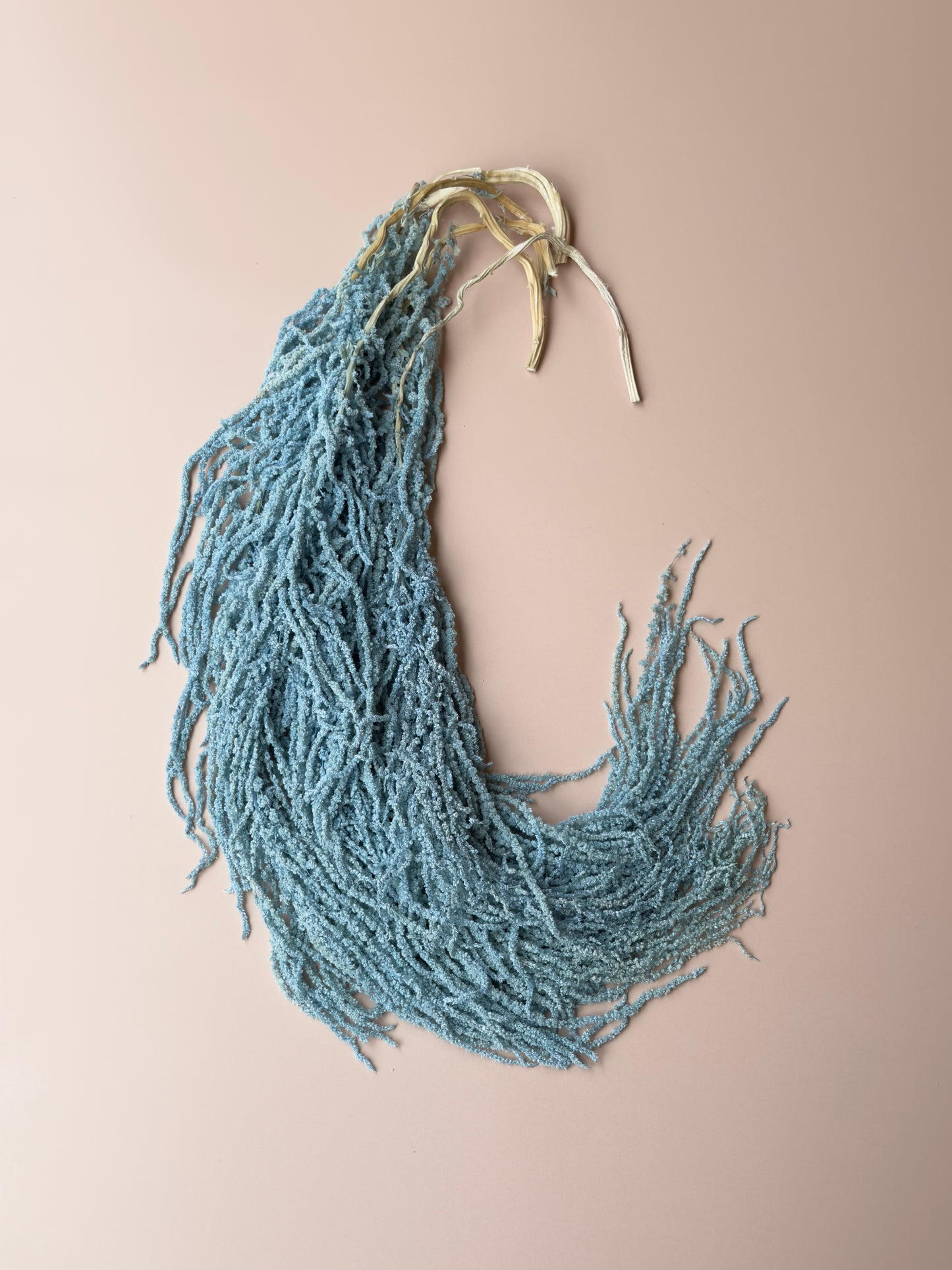 Hanging Amaranthus - Light/Bright Blue