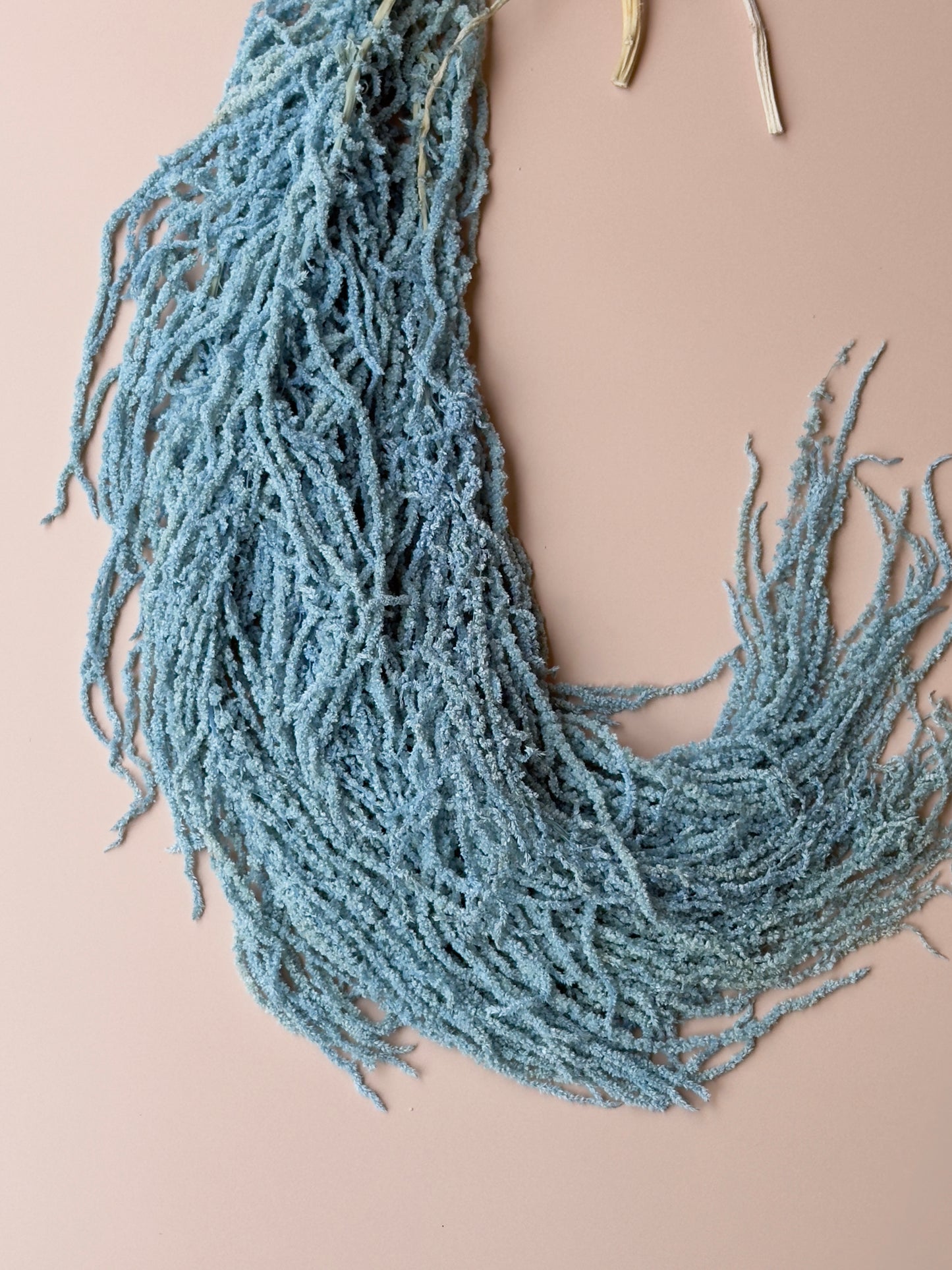 Hanging Amaranthus - Light/Bright Blue