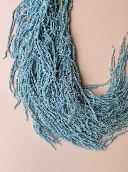 Hanging Amaranthus - Light/Bright Blue - alternate