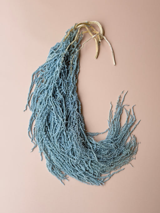 Hanging Amaranthus - Light/Bright Blue