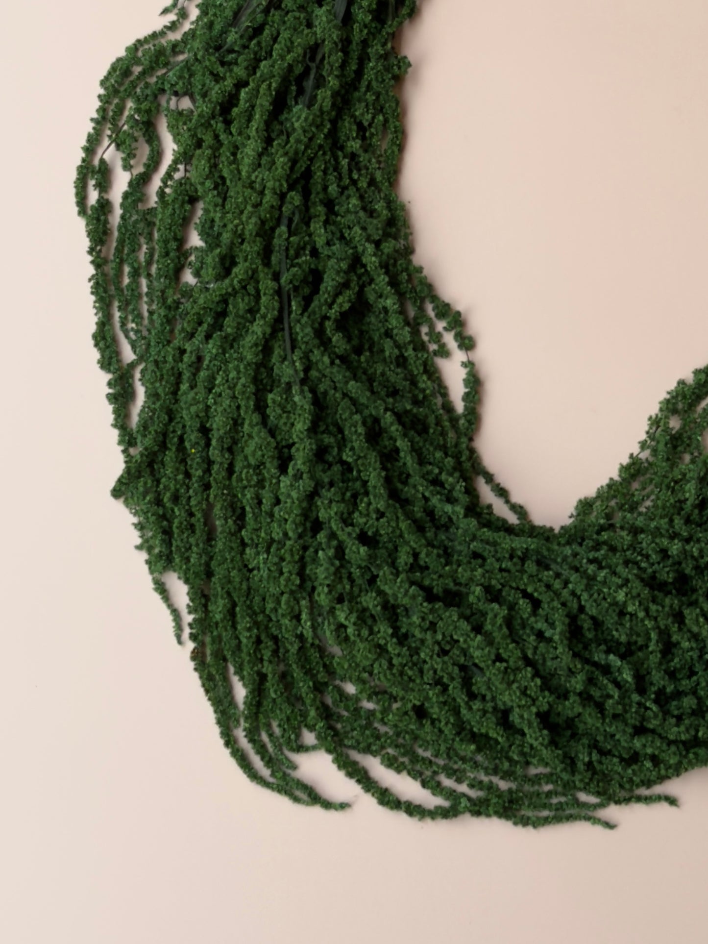 Hanging Amaranthus - Emerald Forest Green