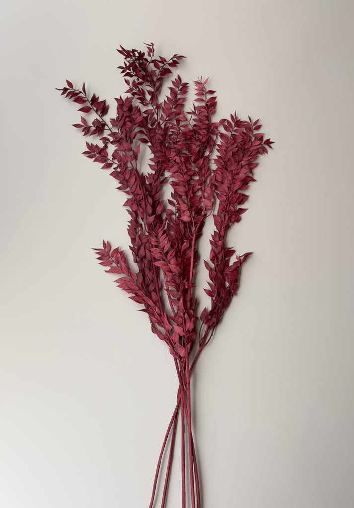 Dried and Preserved Berry Wine Ruscus