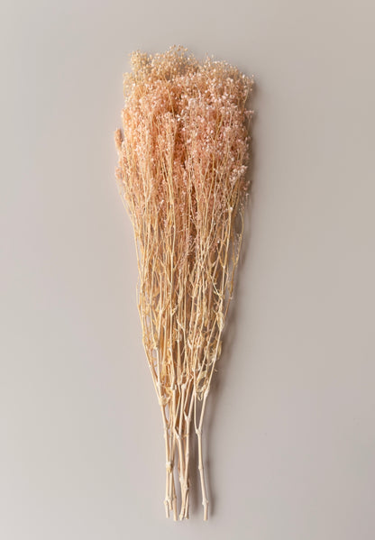 Light Pink Preserved Baby's Breath