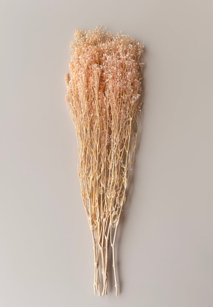 Light Pink Preserved Baby's Breath