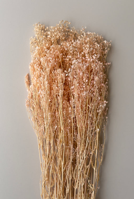 Light Pink Preserved Baby's Breath - alternate