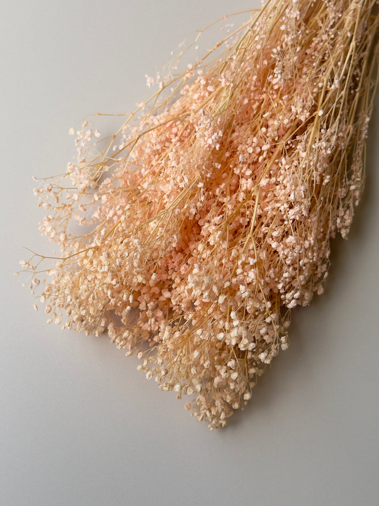 Light Pink Preserved Baby's Breath