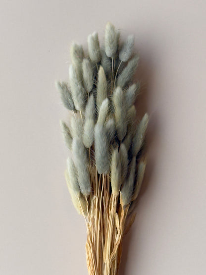 Bunny Tails - Dusty Teal/Blue