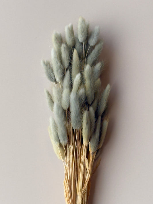 Bunny Tails - Dusty Teal/Blue