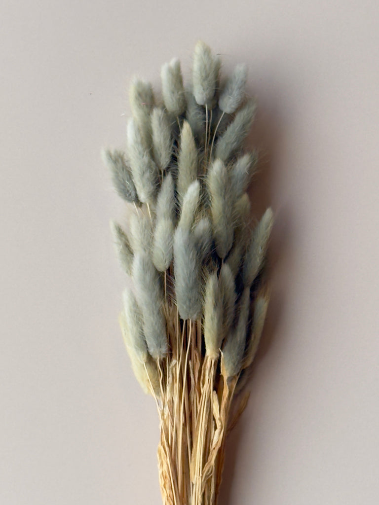 Bunny Tails - Dusty Teal/Blue