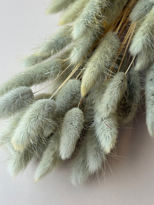 Bunny Tails - Dusty Teal/Blue - alternate