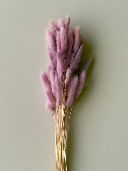 Bunny Tails - Magenta Ombre