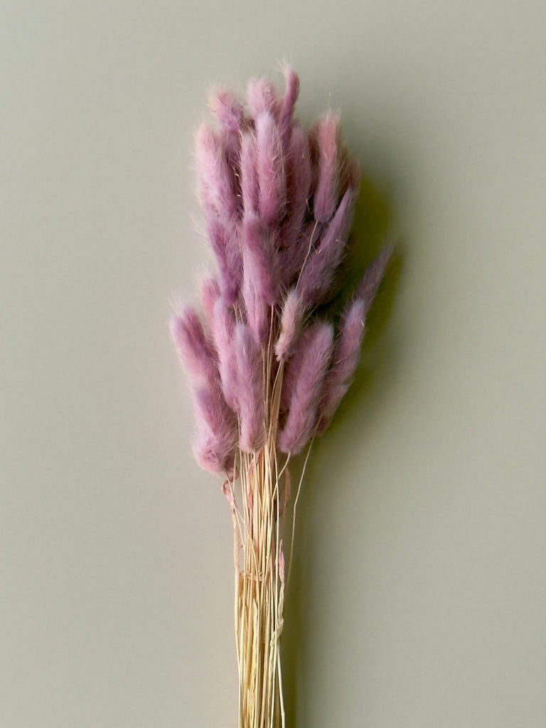 Bunny Tails - Magenta Ombre