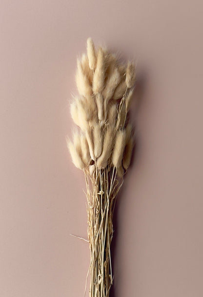 Bunny Tails - Golden Sand