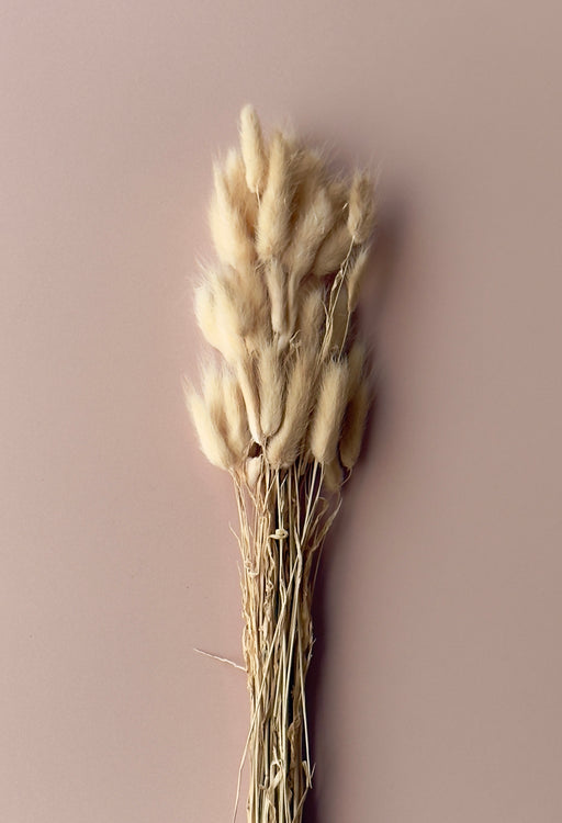 Bunny Tails - Golden Sand