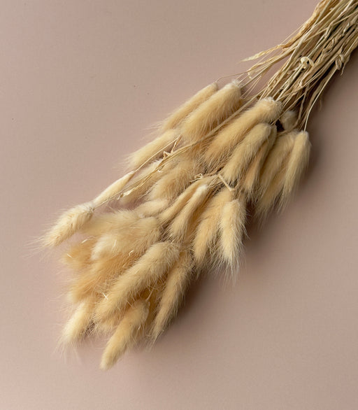 Bunny Tails - Golden Sand - alternate