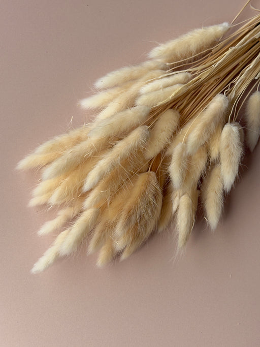 Bunny Tails - Ivory - alternate
