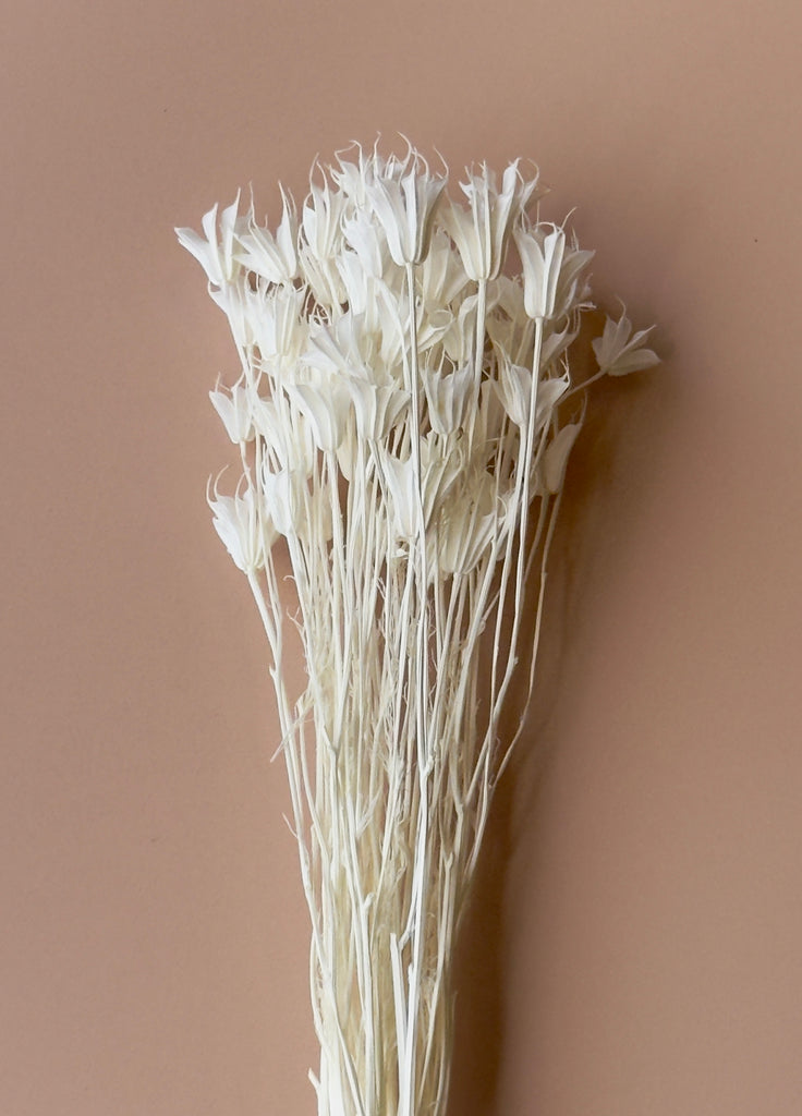 White Nigella