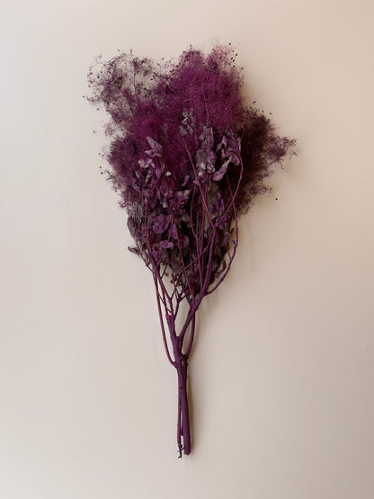 Preserved Smoke Bush - Plum