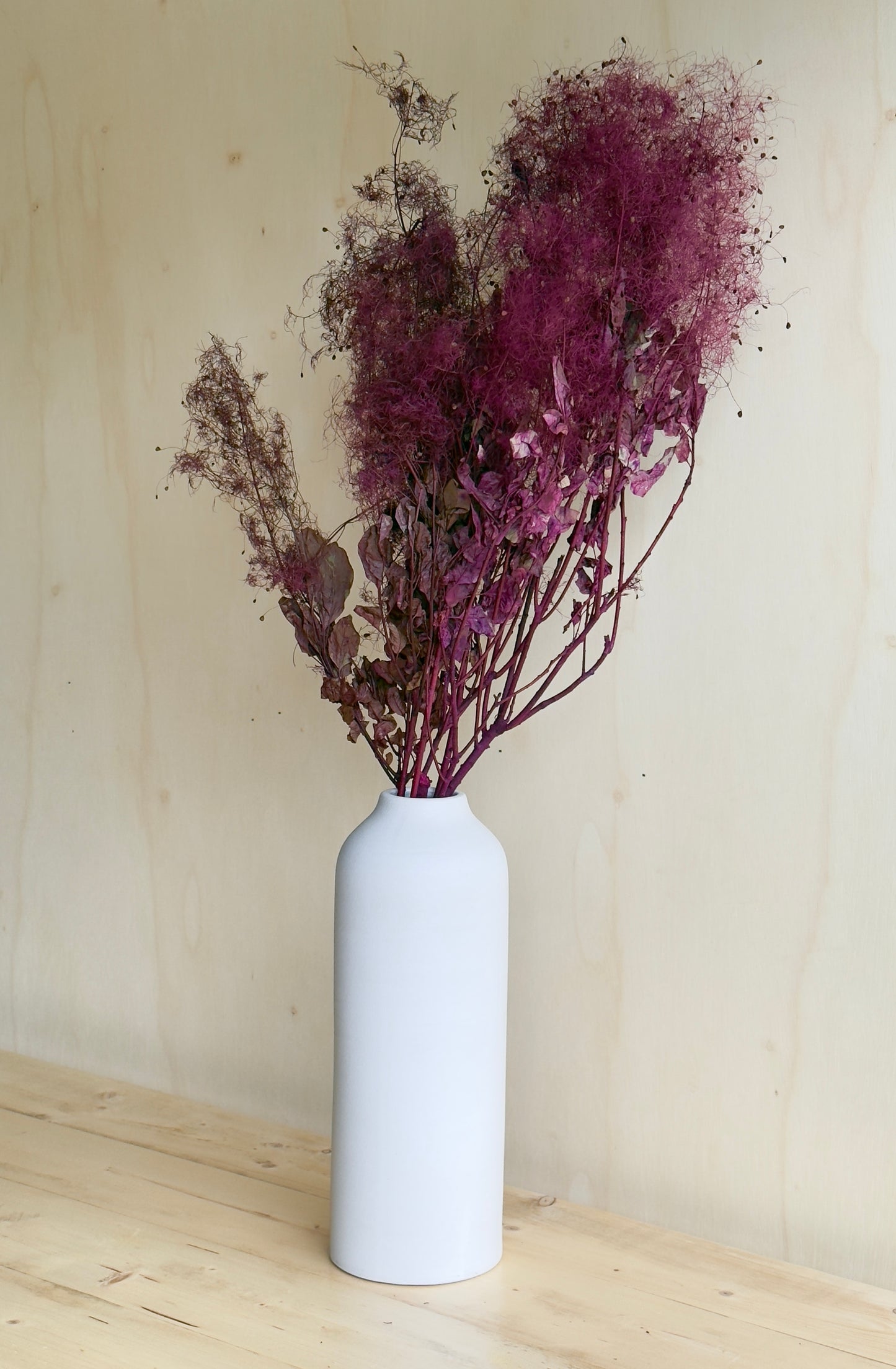 Preserved Smoke Bush - Plum