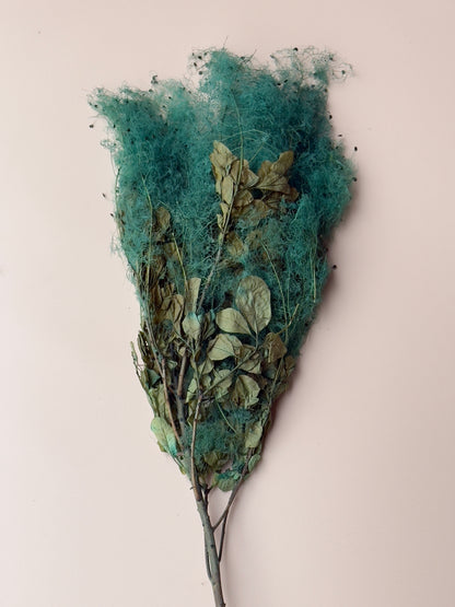 Preserved Smoke Bush - Teal