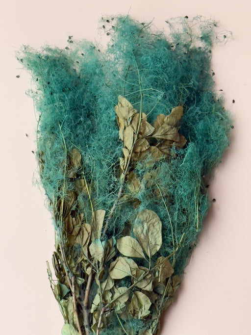 Preserved Smoke Bush - Teal - alternate