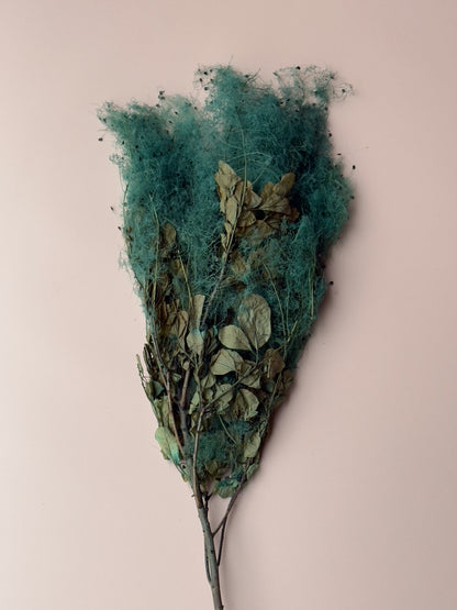 Preserved Smoke Bush - Teal
