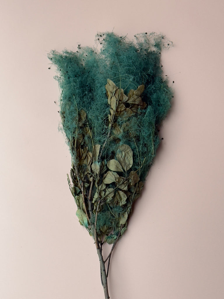 Preserved Smoke Bush - Teal