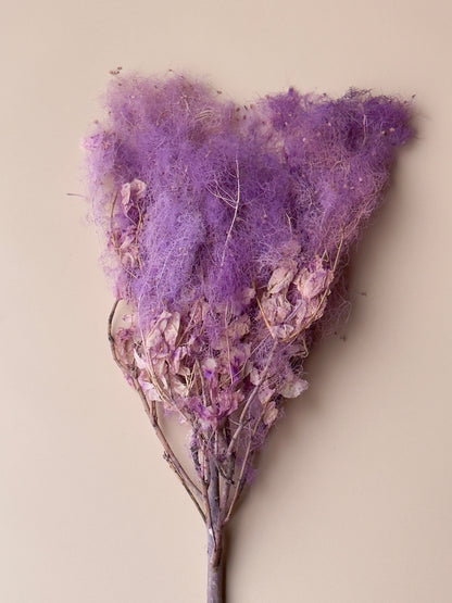 Preserved Smoke Bush - Purple Magenta