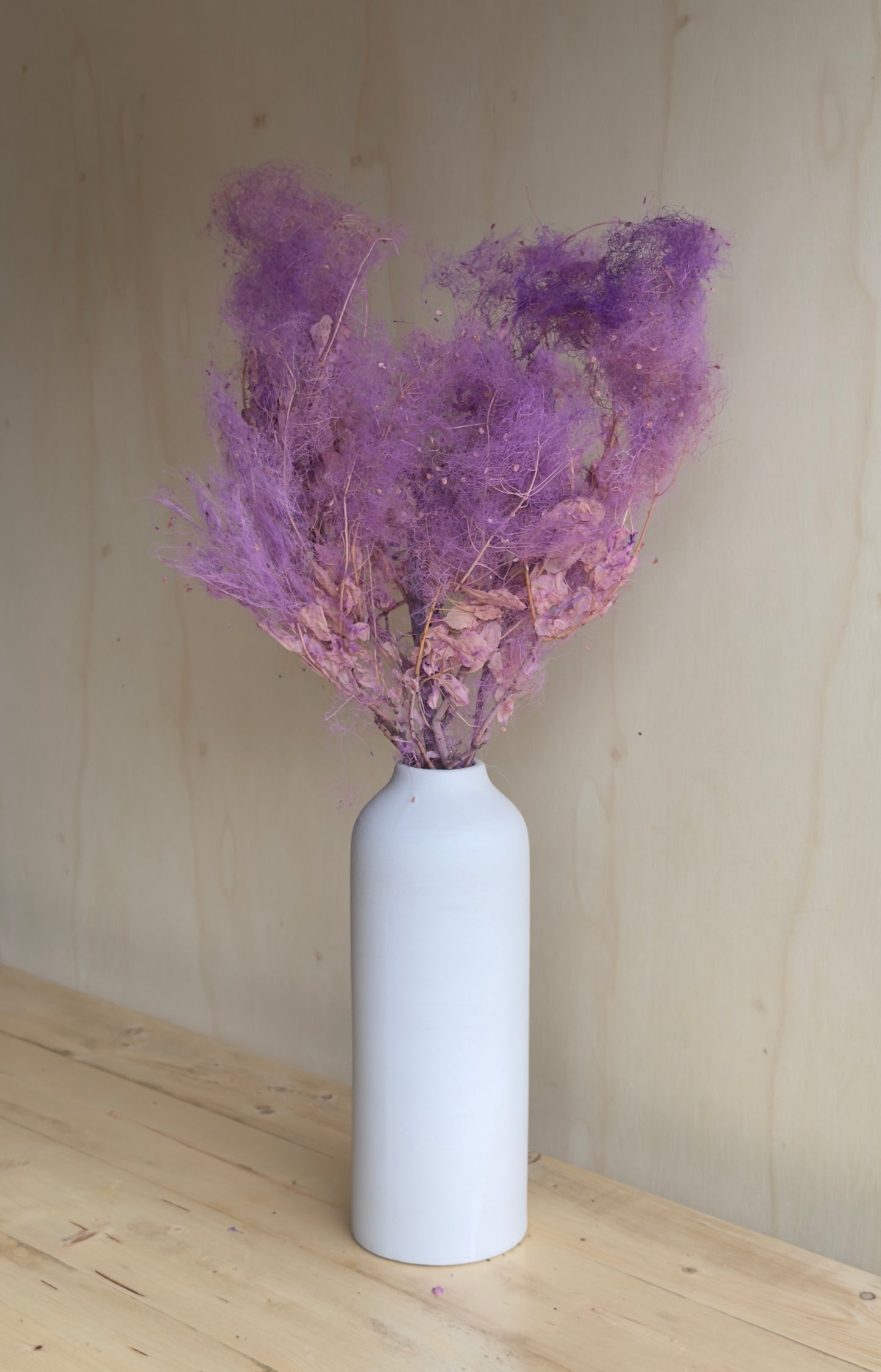 Preserved Smoke Bush - Purple Magenta