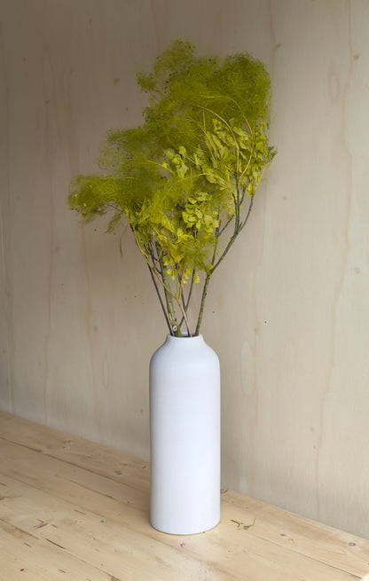 Preserved Smoke Bush - Chartreuse Green