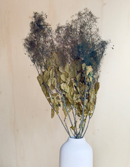 Preserved Smoke Bush - Olive