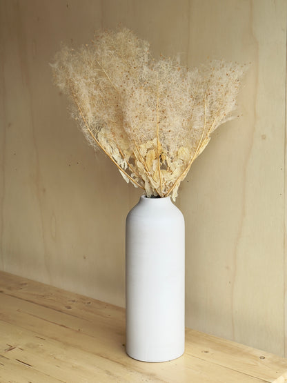 Preserved Smoke Bush - Antique Ivory