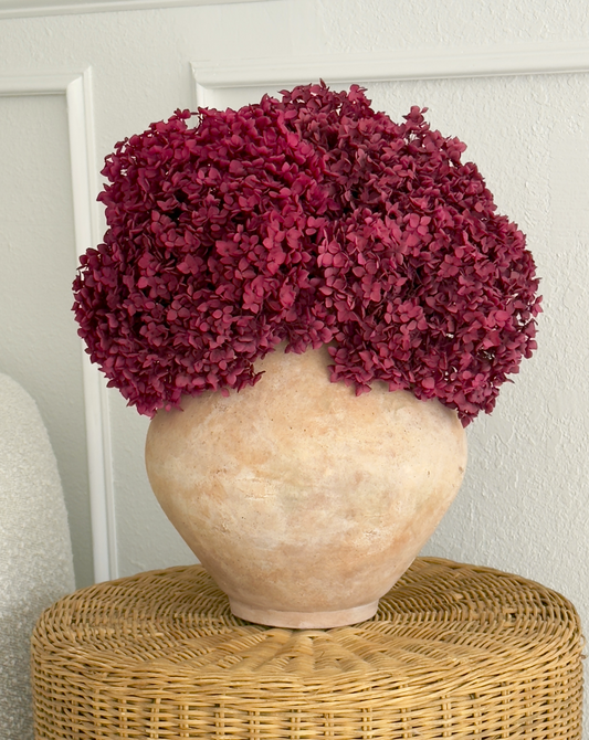 Real Hydrangea Preserved - Large Magenta Berry