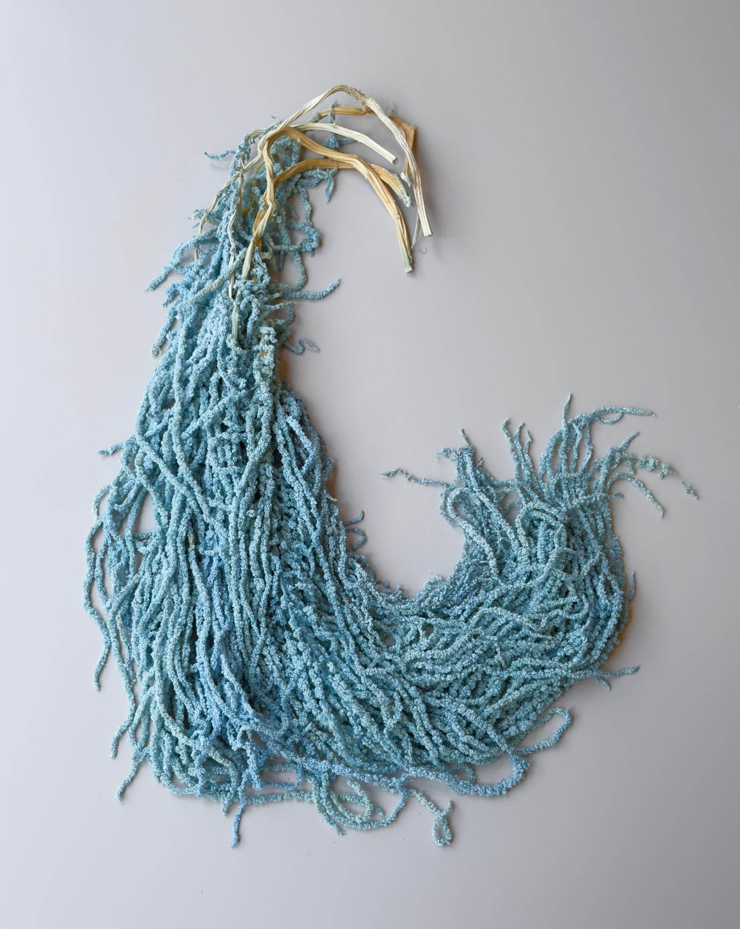 Hanging Amaranthus - Light/Bright Blue