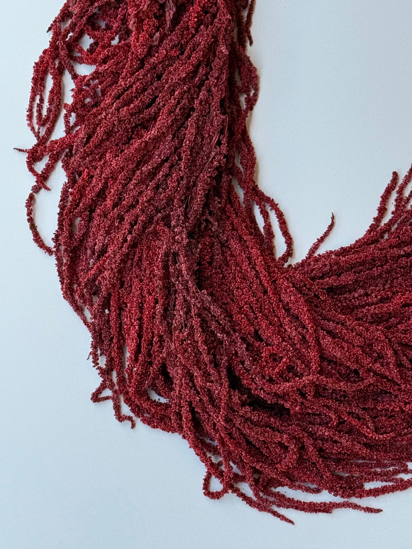 Hanging Amaranthus - Deep Red